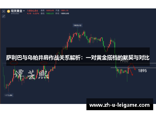 萨利巴与乌帕并肩作战关系解析：一对黄金搭档的默契与对比