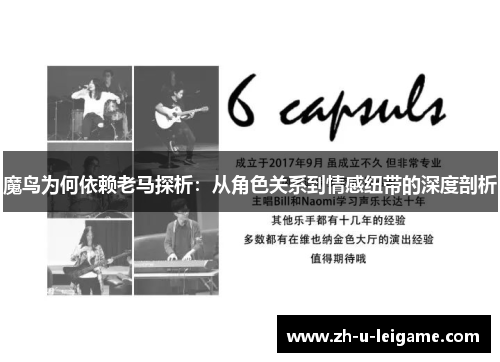 魔鸟为何依赖老马探析：从角色关系到情感纽带的深度剖析